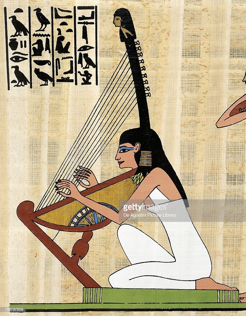 Harp's Nylon Strings