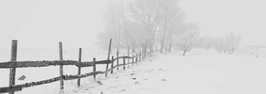 black wooden fence on snow field at a distance of black bare trees